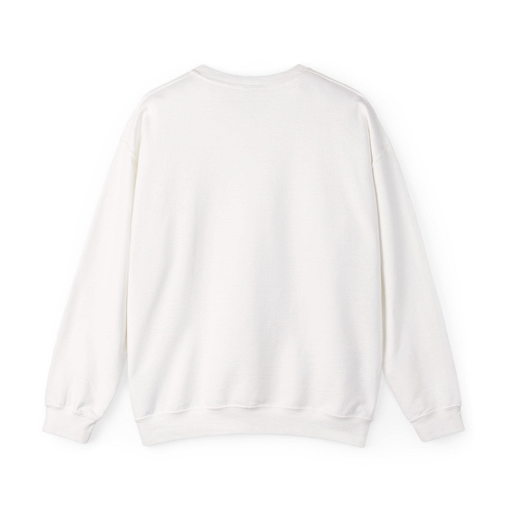 I'm Not Ignoring You I'm Avoiding Everyone Equally Sweatshirt | Grumpy Humor, Minimal Typography