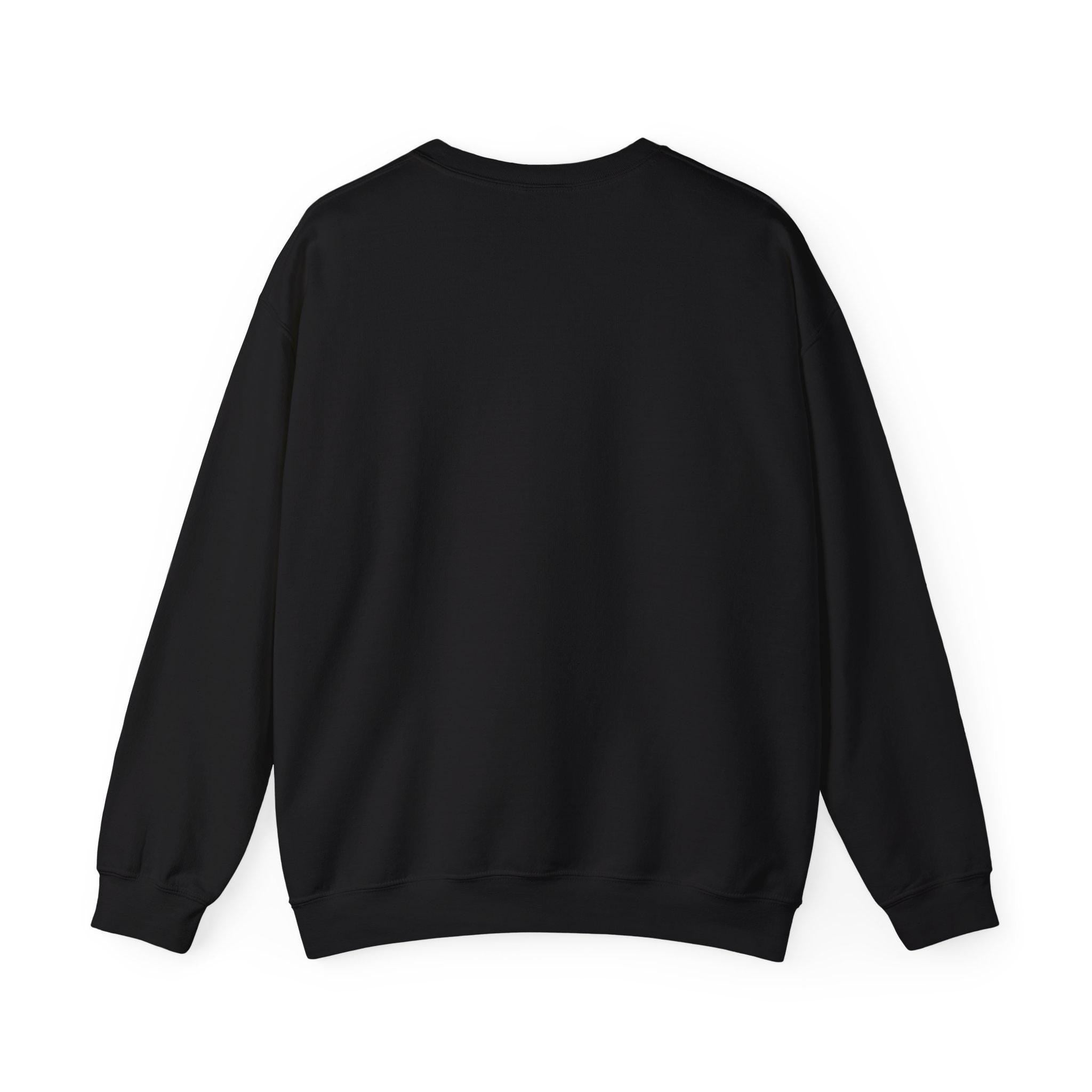I'm Not Ignoring You I'm Avoiding Everyone Equally Sweatshirt | Grumpy Humor, Minimal Typography